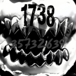 1738'