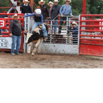 Bf ranch