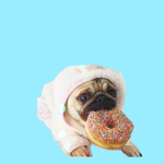 Mops Gruppe