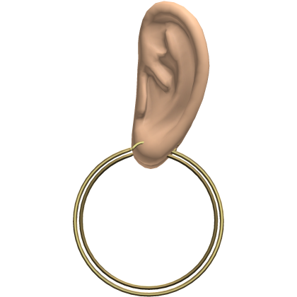 Gold Thin Hoop Earrings Ears