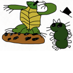 Cookie turtle studios
