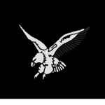 [Hostage Rescue Team]