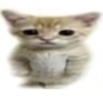 slami