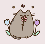 Pusheen Cafez!