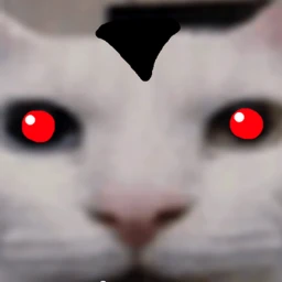 🎃 DOOM 음악이 시작되면 icon