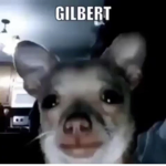 GILBERT!?!