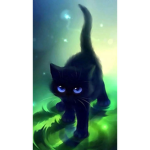 Dark Black Cats