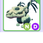 Skull dragon Group