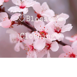 Blossom's HomeStore