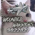 Wounded Warriors