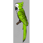 war birdss