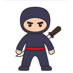 Ninja adventure group