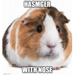 Hamsger With Nose