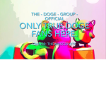 The Doge Group - Official