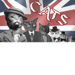 The_Cats_United