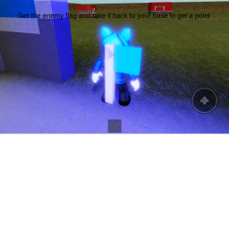 Capture the flag