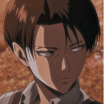 LEVIxTeam