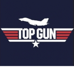 |:|Top Gun Flight Academy|:|
