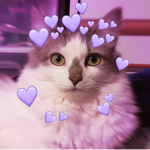 Alice Stans
