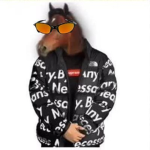 pony hoodie