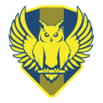 The SATO Military Intelligence