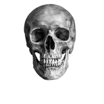 Skull Squad Gamer
