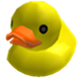 The Duck House
