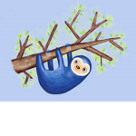 Blue Sloth Company