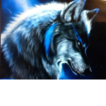 TX2 Shadow Wolves