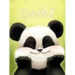 PandaTimes