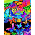 •| Butterfly Hangout! |•