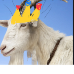 GOAT MOTHERS CHILDREN