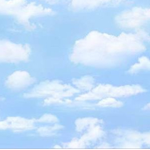 !-Blue Skyline Con-!