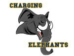 Charging Elephants