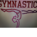 Starlight Gymnastics fun!