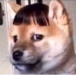 HugosSD