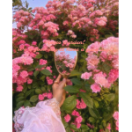 Rose’s Gardens