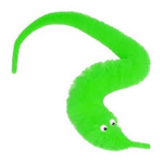 Kingdom of Worms
