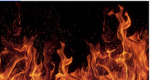 The_fire_guards