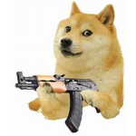 The Glorious Doge Council