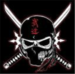 ninja's of the dark