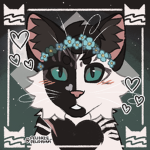 Warrior Cats TT