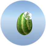 Cactus Flower Egg