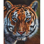 legend tigers