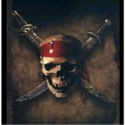 The Pirate World