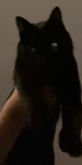 Alejandrogwni