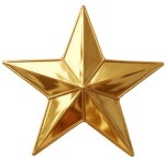 Star guards international