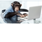 Monke studios!
