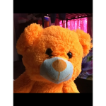 the real teddy group