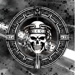 {DS} Siege X Division